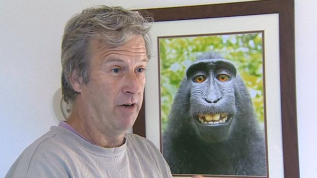 L'affaire du selfie de singe : à qui appartiennent les droits d'auteur ?